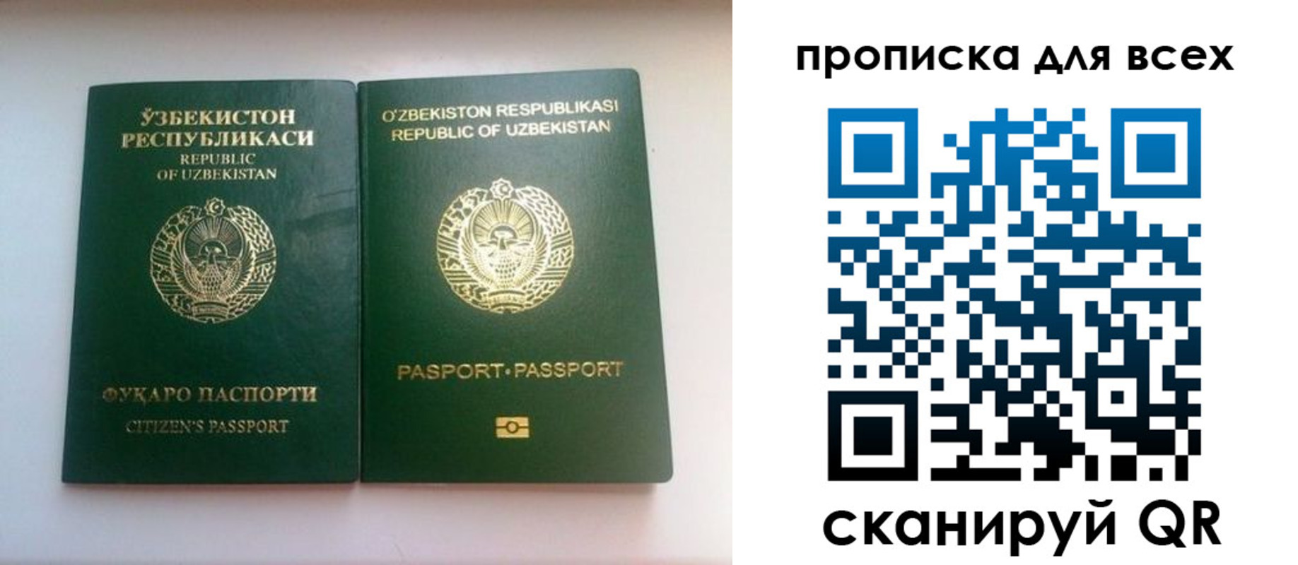 прописка для школы в Свердловской области